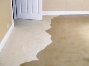 wet carpet flood tips