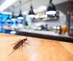 commercial pest control Auckland