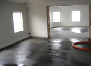 water damage Auckland