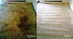 FAQ carpet cleaning Auckland